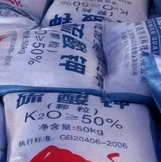 中港?；愤M(jìn)口