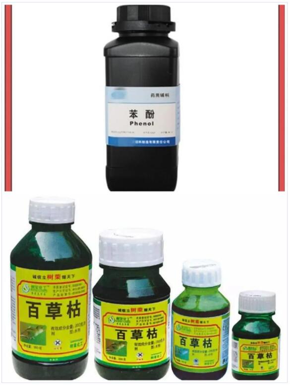 <a href='http://www.shecw.cn' title='國際貨運代理' >國際貨運代理</a>